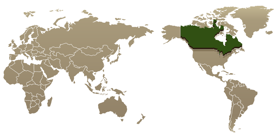 世界地図の中のカナダ